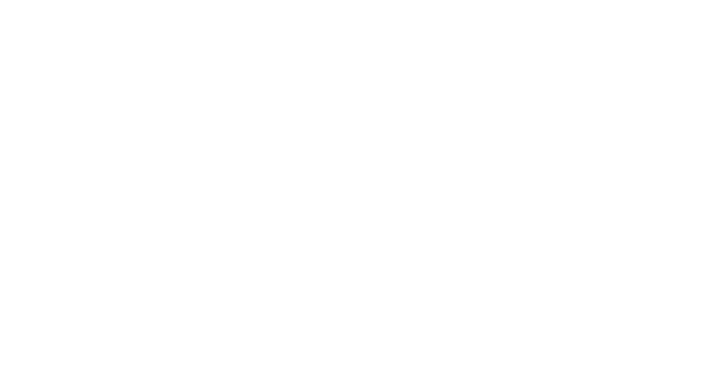 Meguiars-Gold-Logo